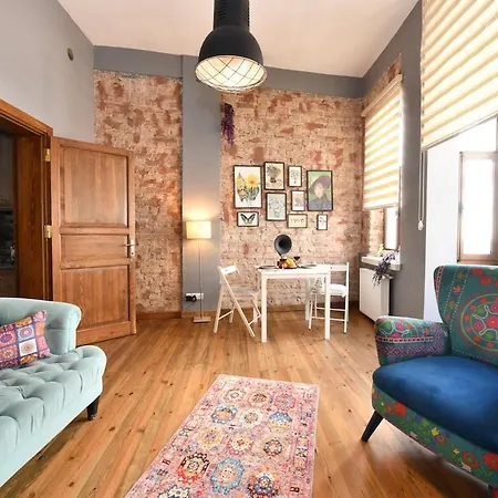 Historical Wooden Style Ac In Beyoglu Galata 이스탄불